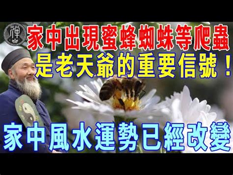 家外有蜂窩|【蜂窩風水】家有蜂窩風水吉凶解密：黃蜂入宅，招財。